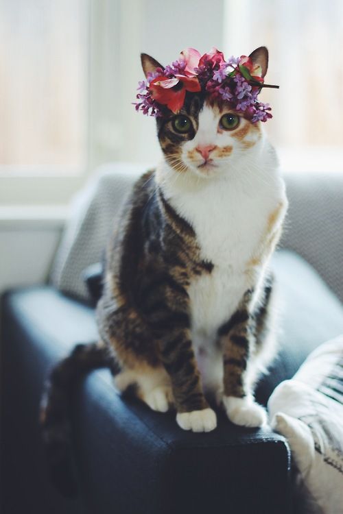 Pinterest