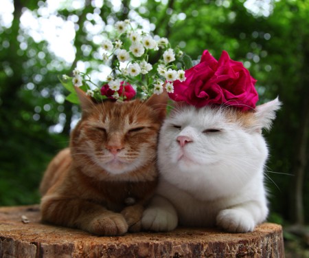 Pinterest