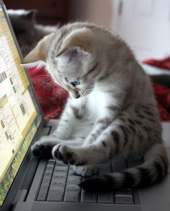 Pinterest
