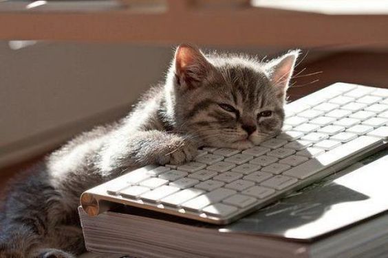 Pinterest