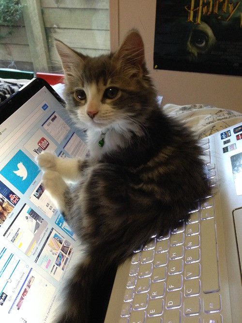 Pinterest