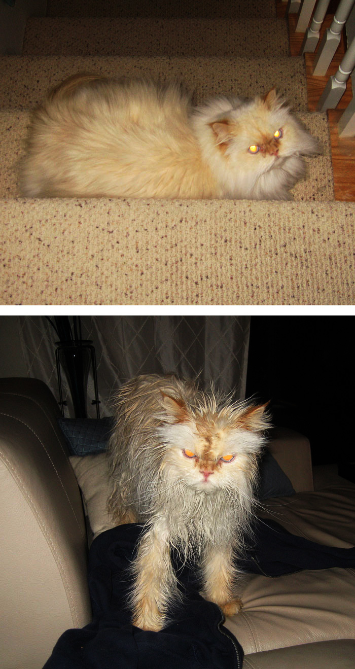 afterbath