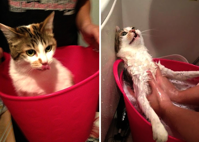afterbath