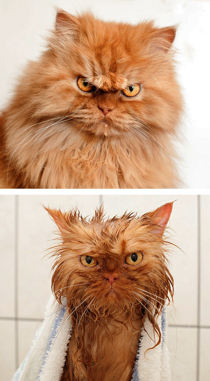afterbath