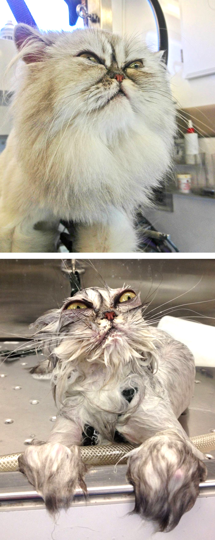 afterbath