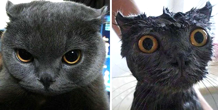 afterbath