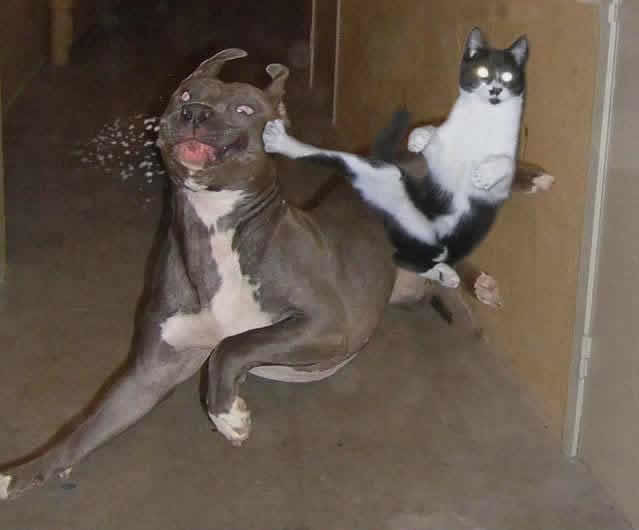 Internet