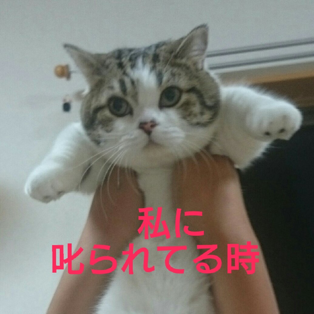 C2NGdqUUsAAnWmI