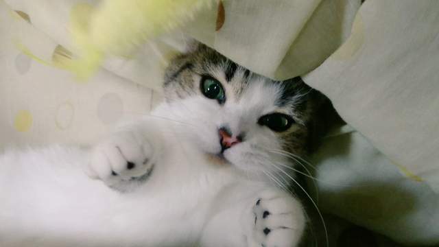 pJyZoaOXkqSdqqQ