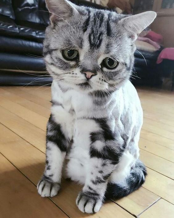 Pinterest