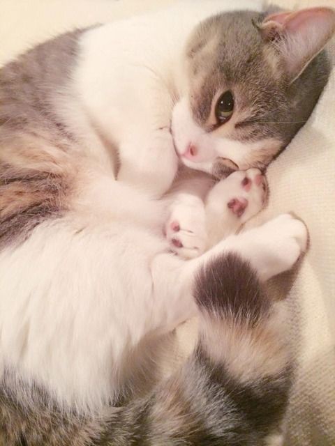 Pinterest