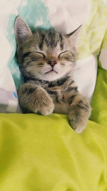 Pinterest