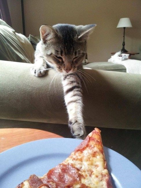 Pinterest