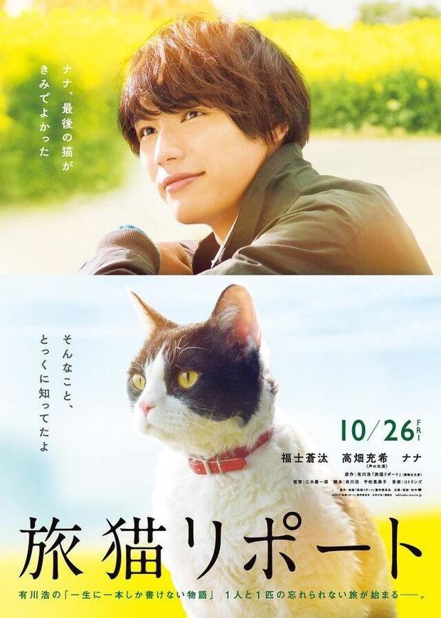 http://tabineko-movie.jp/