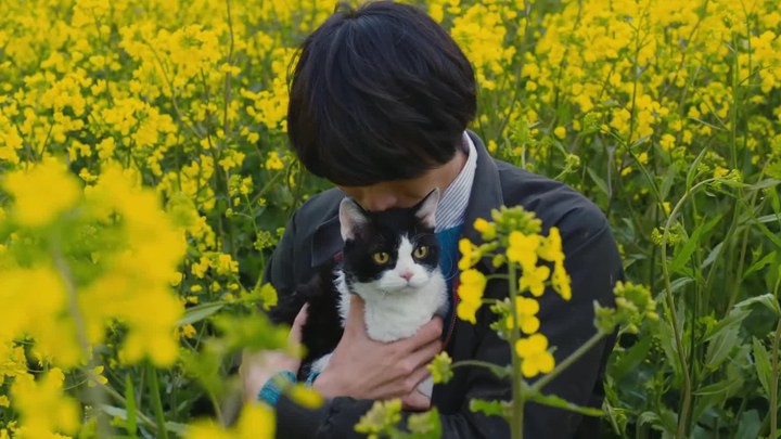 http://tabineko-movie.jp/