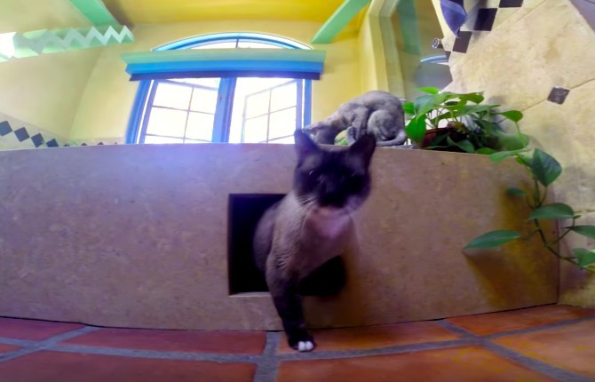 Houzz
