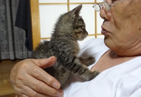 http://blog.livedoor.jp/ryokichi777/
