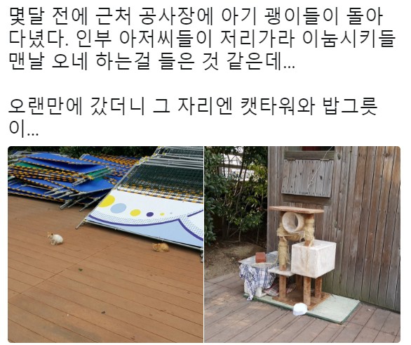 dispatch