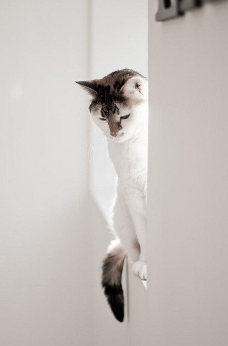 pinterest
