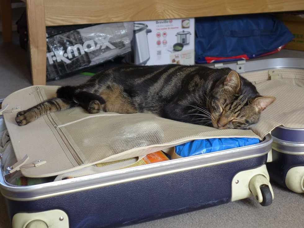 TravUK