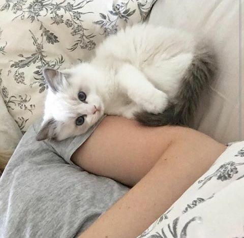 pinterest