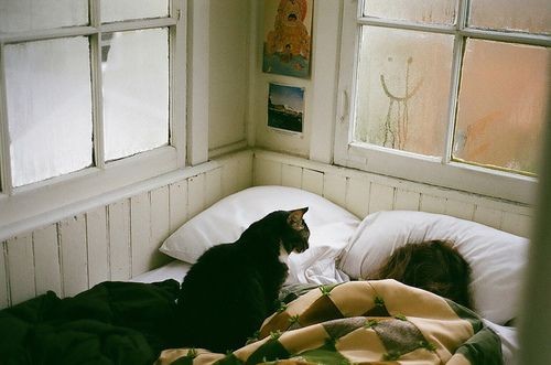 pinterest