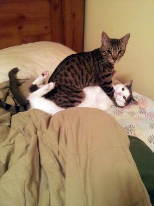pinterest