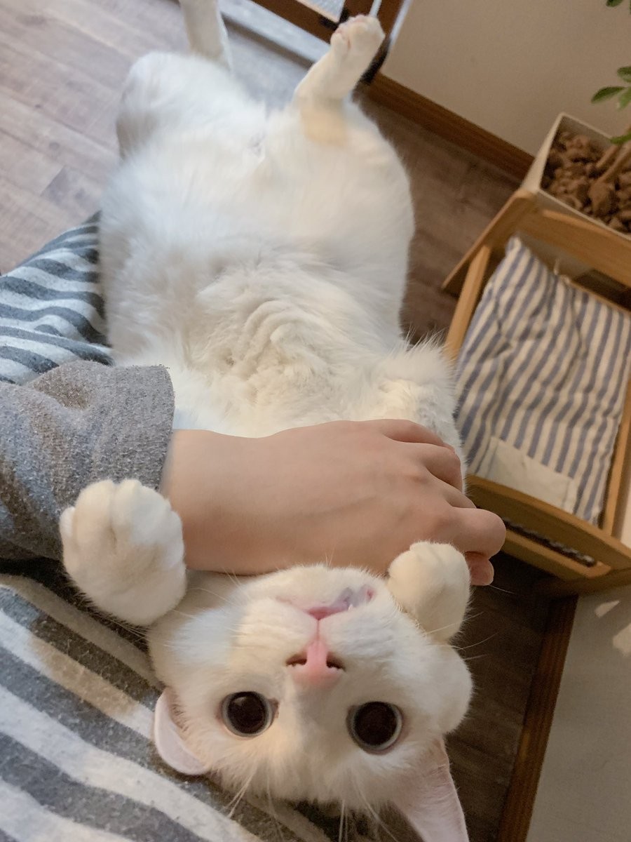 @yy221126