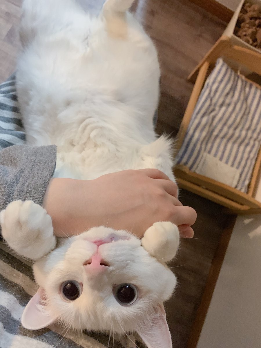 @yy221126