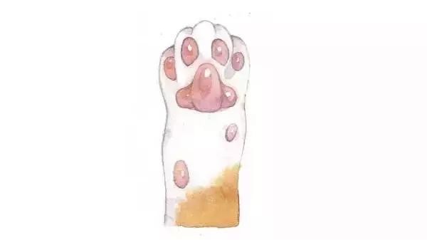 新浪看点