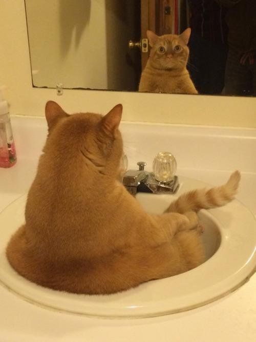 pinterest