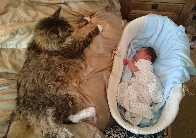 @ludothecat