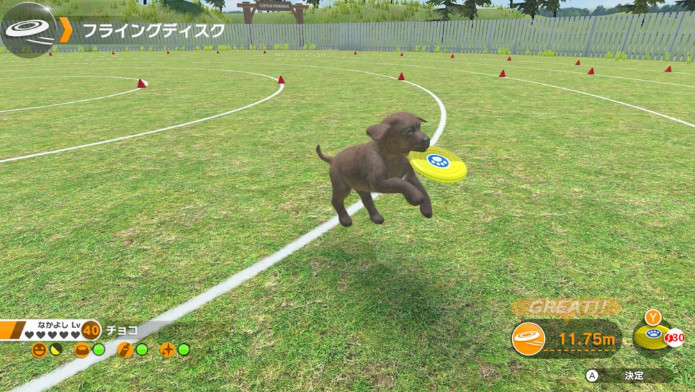 Switch 官網