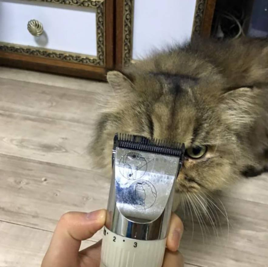 나인개그