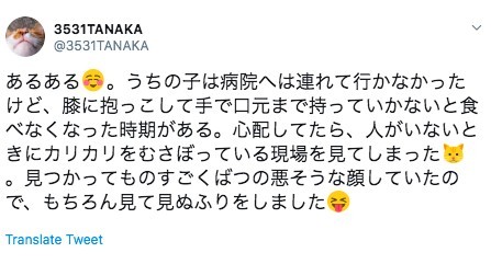 @3531TANAKA
