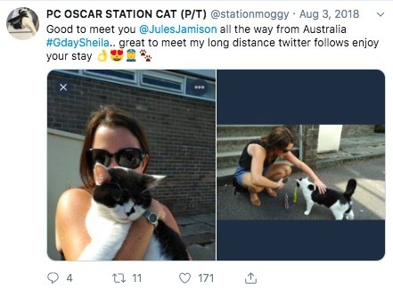 @stationmoggy