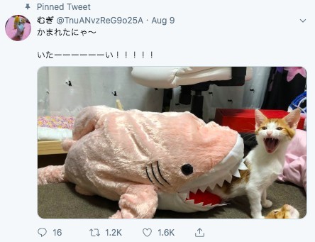 TnuANvzReG9o25A