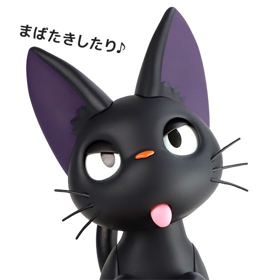 donguri