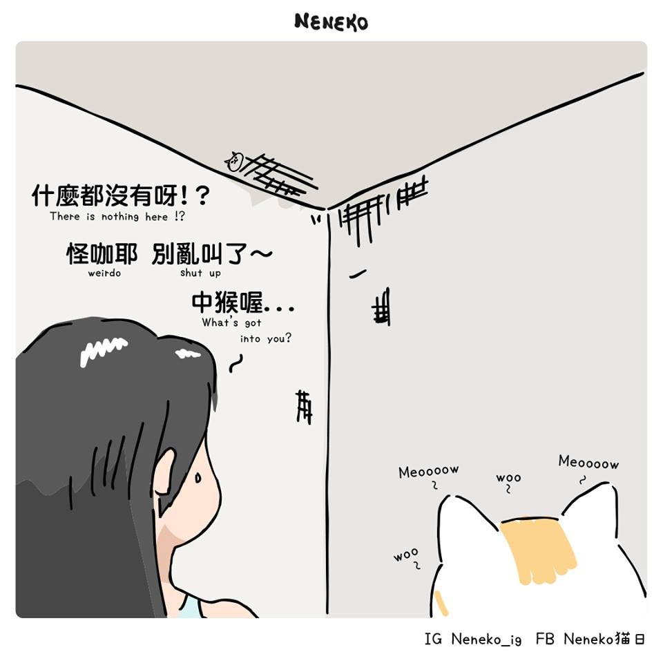 Neneko 貓日