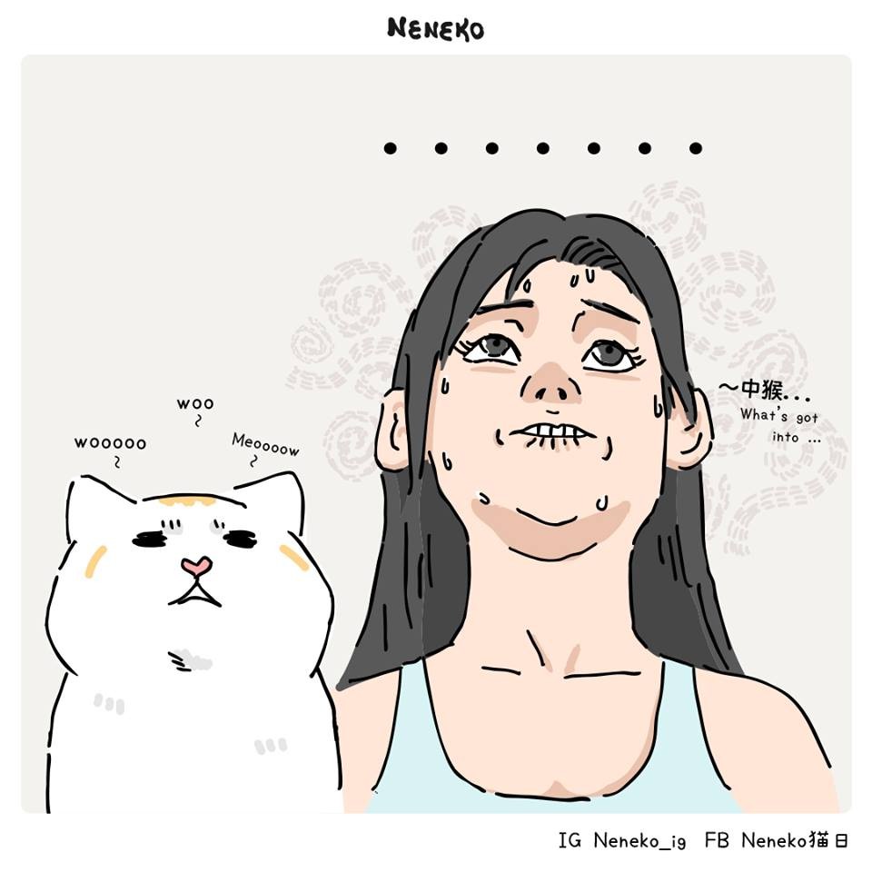 Neneko 貓日