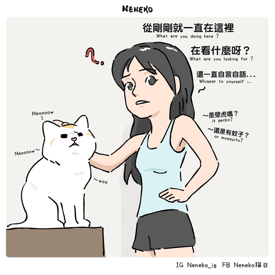 Neneko 貓日