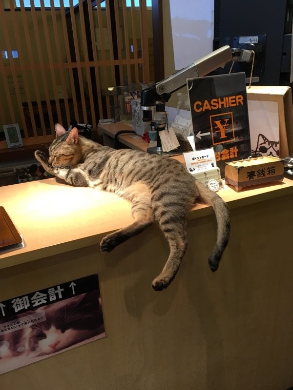 nya-n.jp