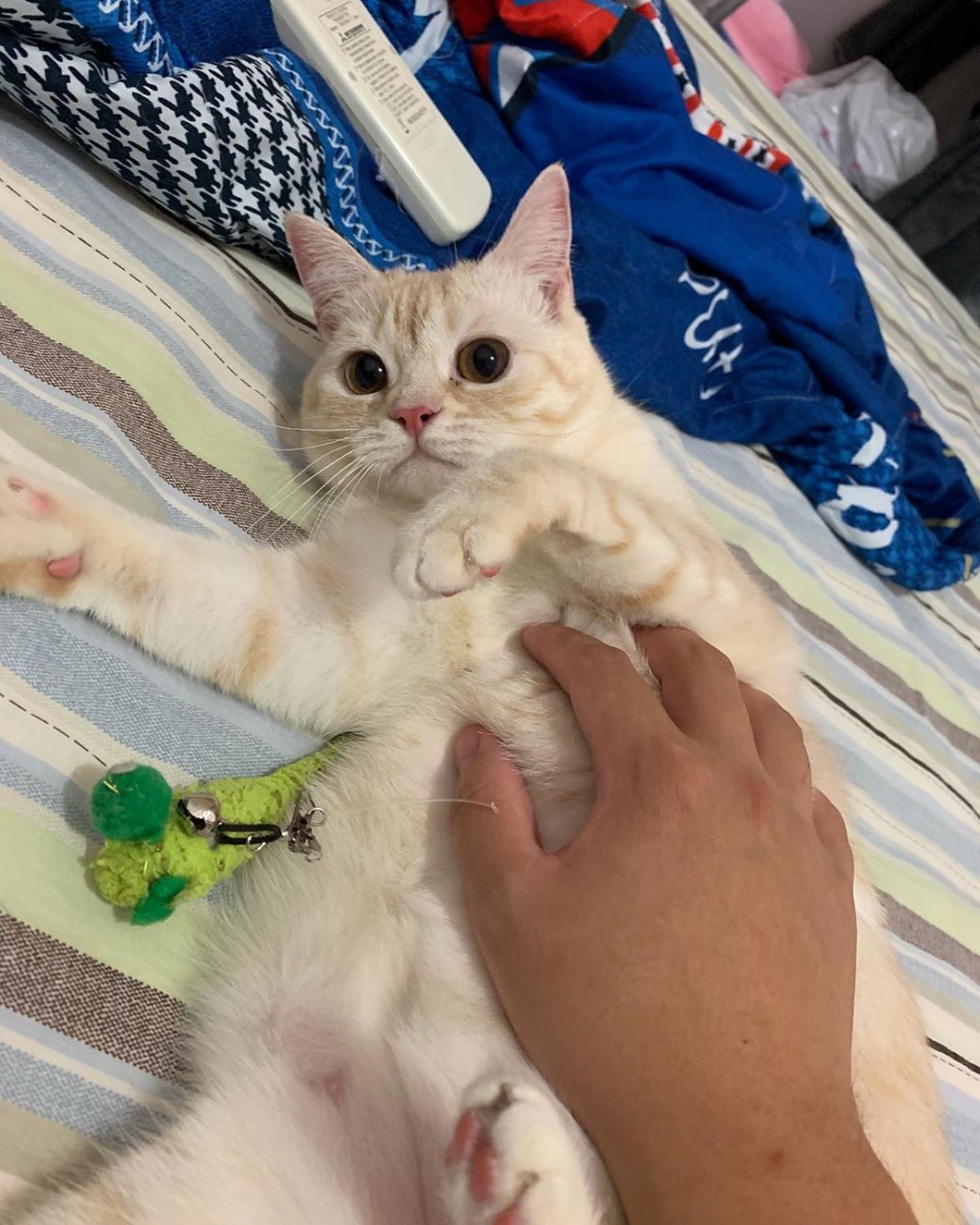 IG/mtc_lulu