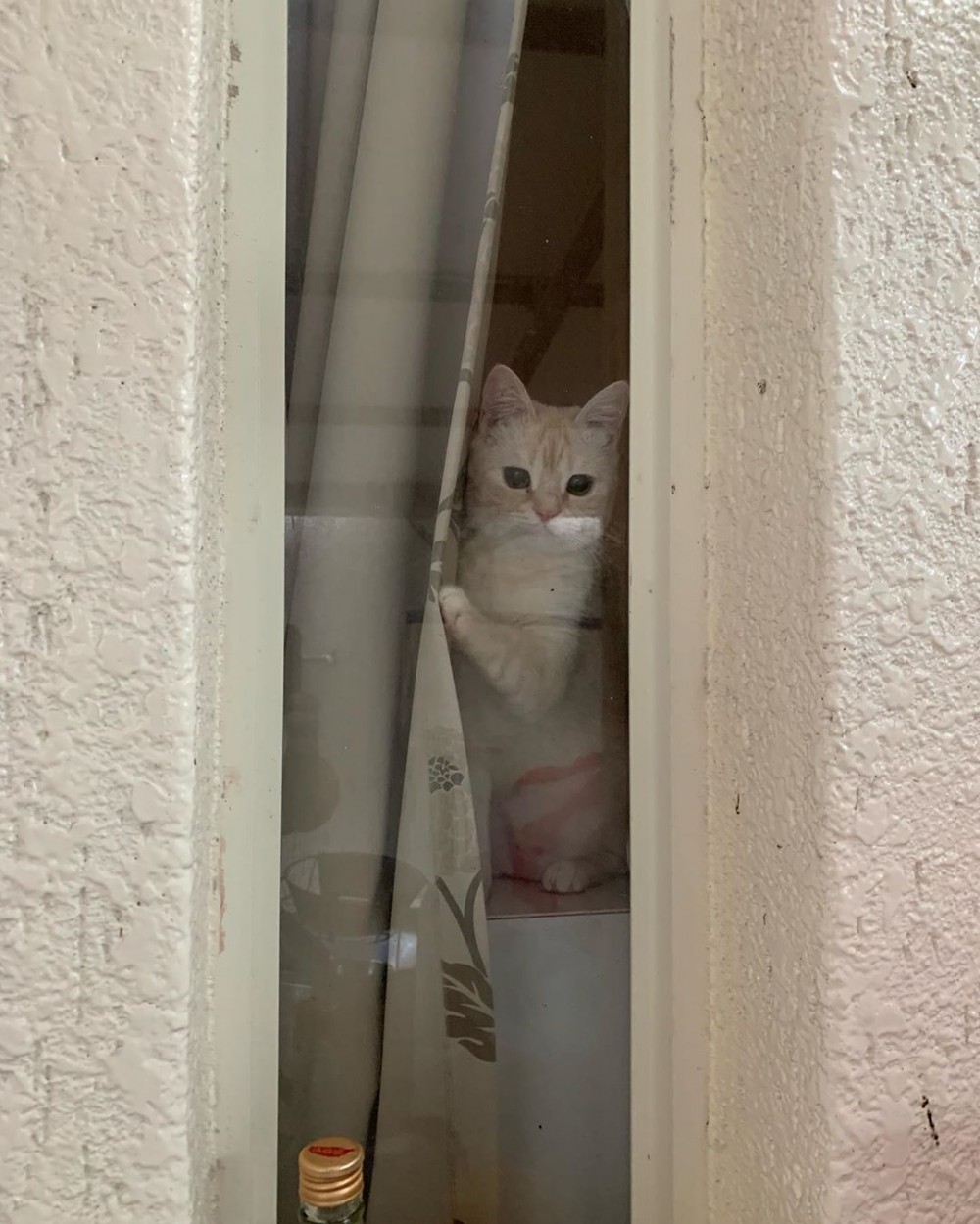 IG/mtc_lulu