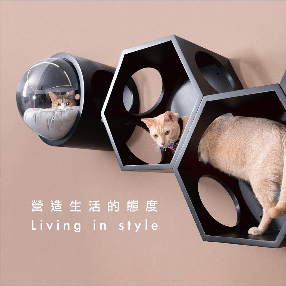 FB @Myzoo動物緣