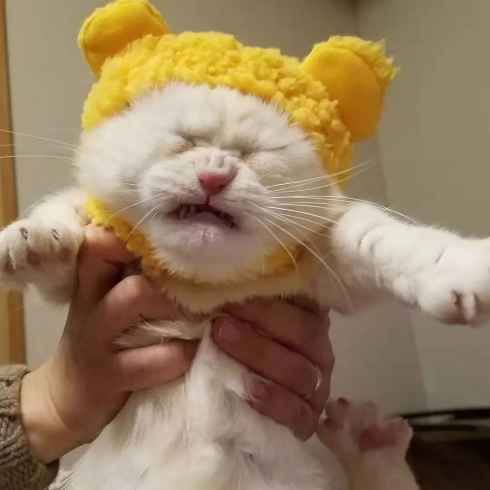 萌喵Fuku