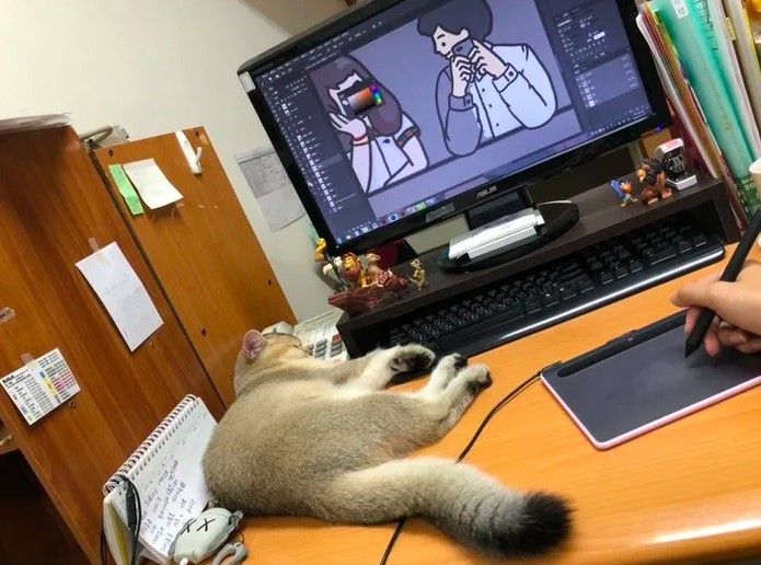 IG @cat_ldb