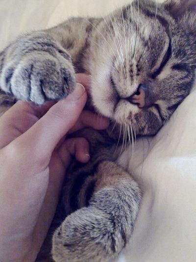 Pinterest