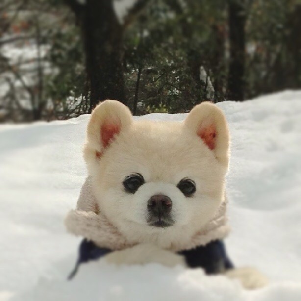twitter/shun mama