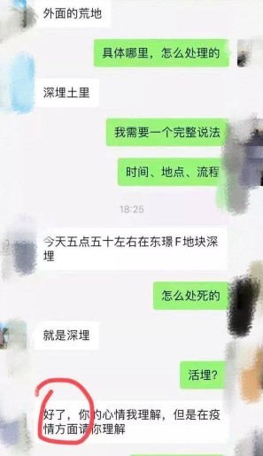 武漢肺炎,貓咪被活埋